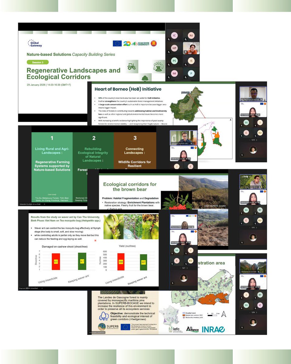 EU in ASEAN tweet media