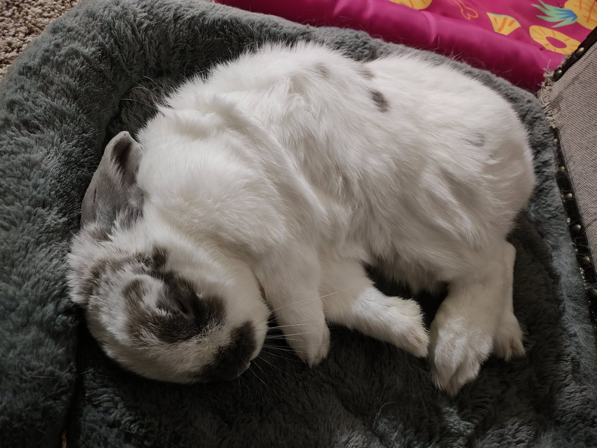 Princess Sephiroth 🍉 tweet media