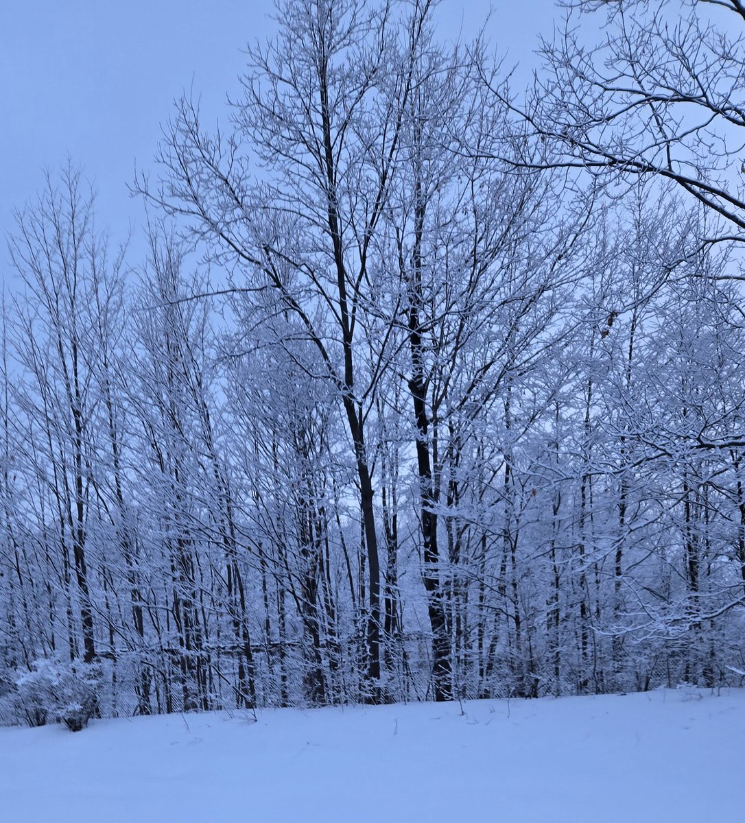 Como me encanta el invierno 
(*´ω｀) ❄️♥️

Si pudiera me iría a vivir en un lugar donde siempre esté nevando
