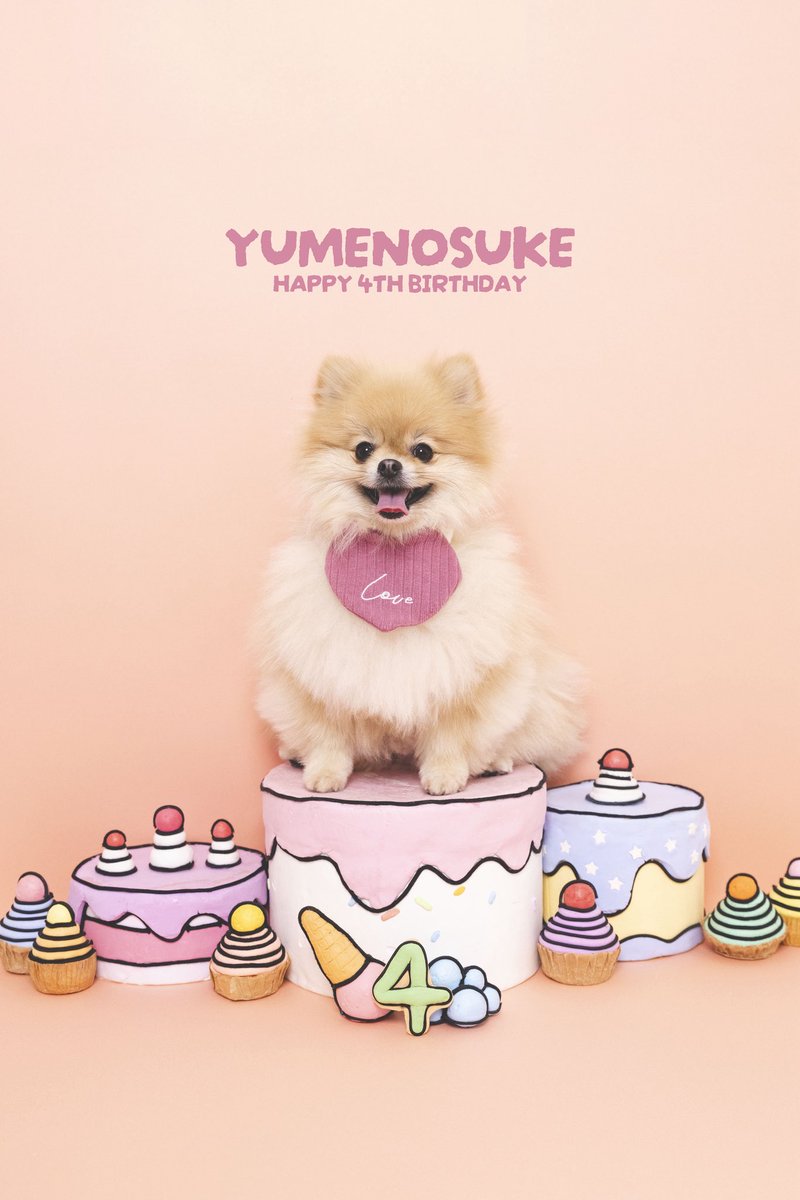 ぽんたと夢之介 tweet media