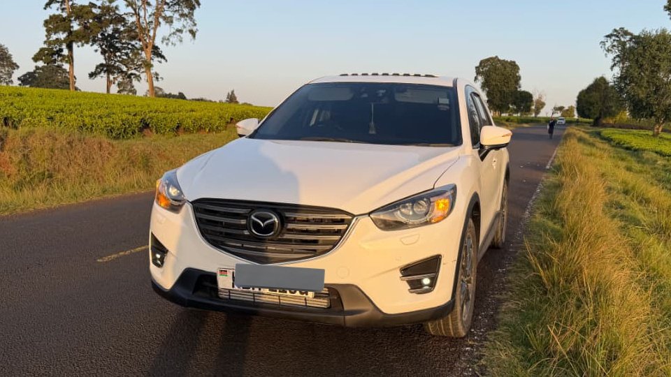 Kamùdù Dragon tweet media