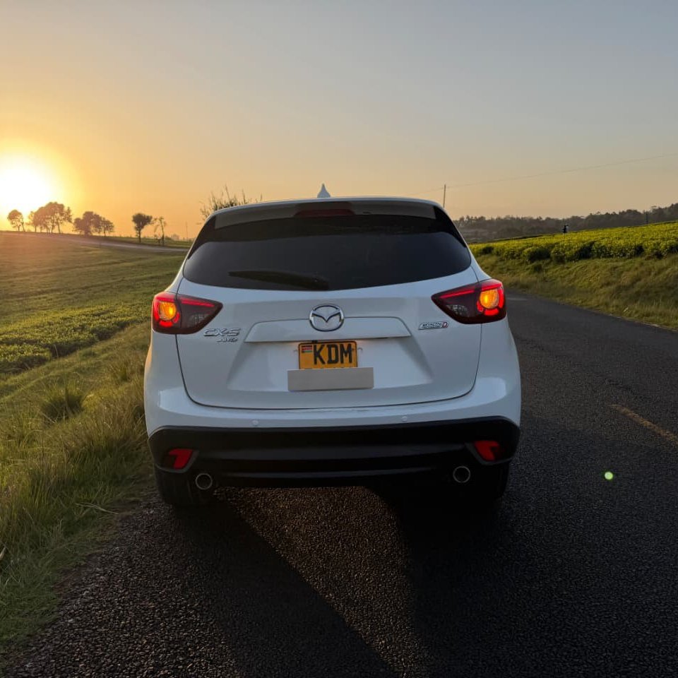 Kamùdù Dragon tweet media