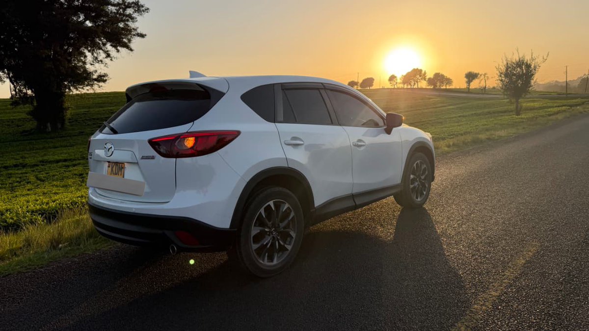 Kamùdù Dragon tweet media