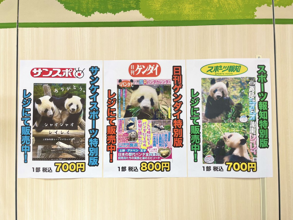 2/28(土)で販売終了🥲／ シャオシャオ＆レイレイの写真がたっぷり掲載