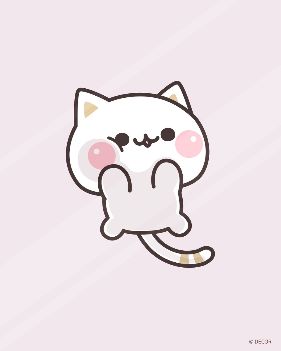 気づかいのできるネコ【DECOR】 tweet media
