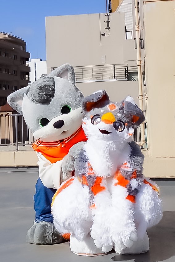 Gula(グラ)【公式】official tweet media