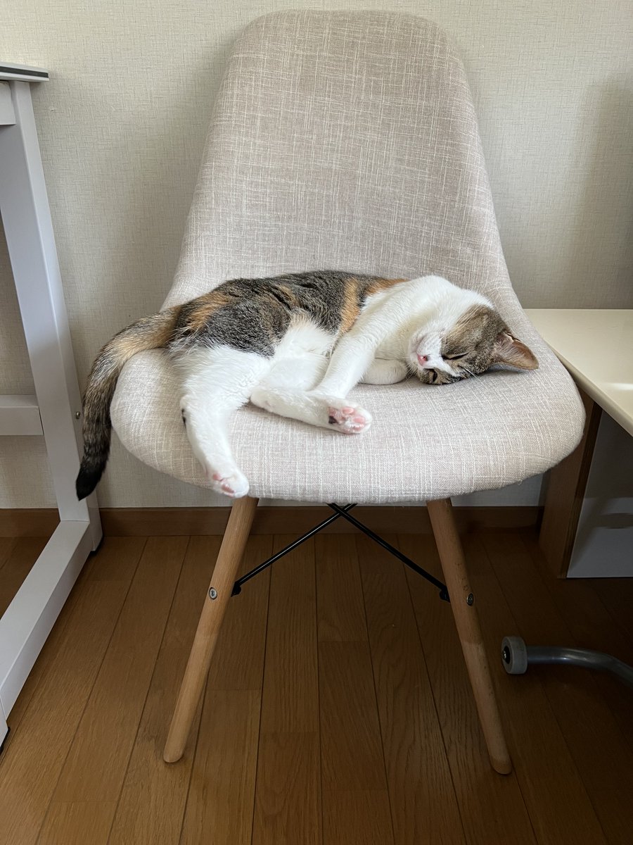 今日もごきげんさんの次女。
