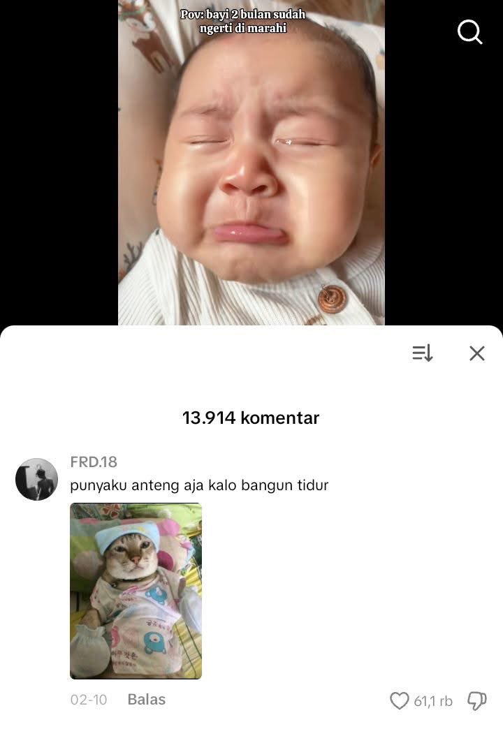 CJ Crypto 🍥 tweet media