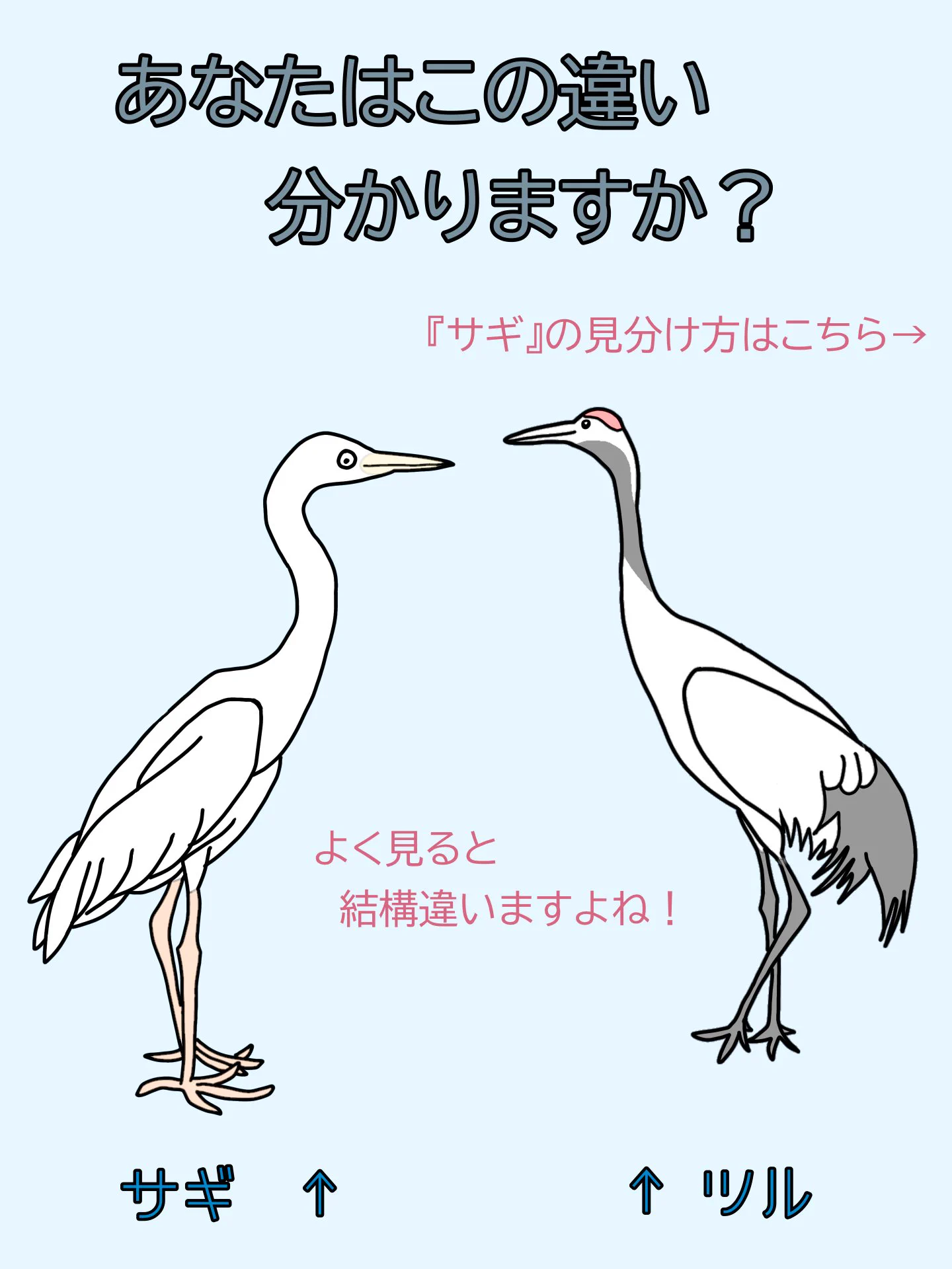 旗　古布　家紋　鶴　鷺　サギ 兵庫県警察安全安心情報 on X: 