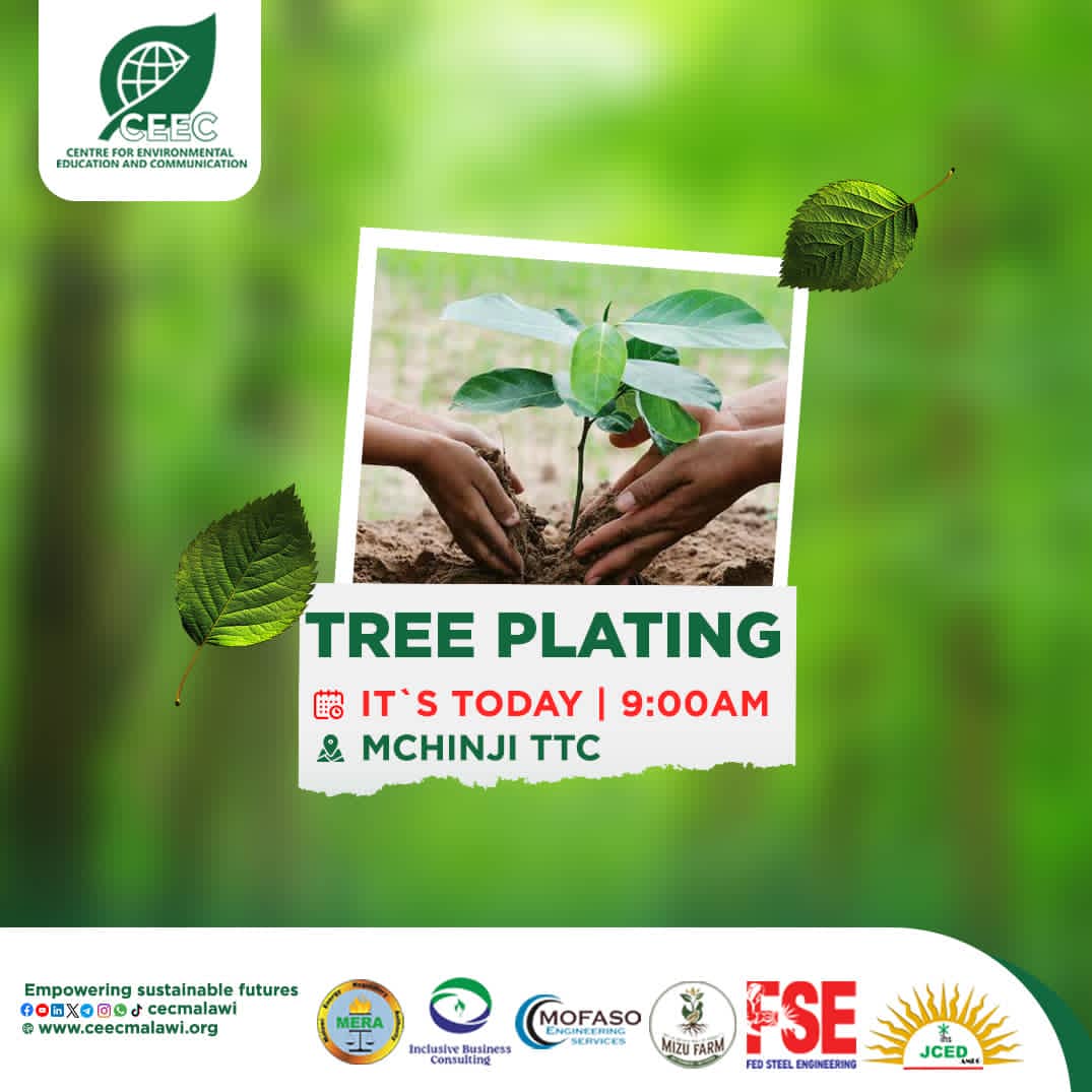 CEECMalawi's tweet photo. It's today!

Kodi muli chapati ku Mchinjiko tikutengeni tikadzale mitengo?

#SustainableFuture #Malawi #nature #naturelovers #ceecmalawi #sustainability #environmentalprotection #TreePlantingSeason https://t.co/fzq61IPbvw