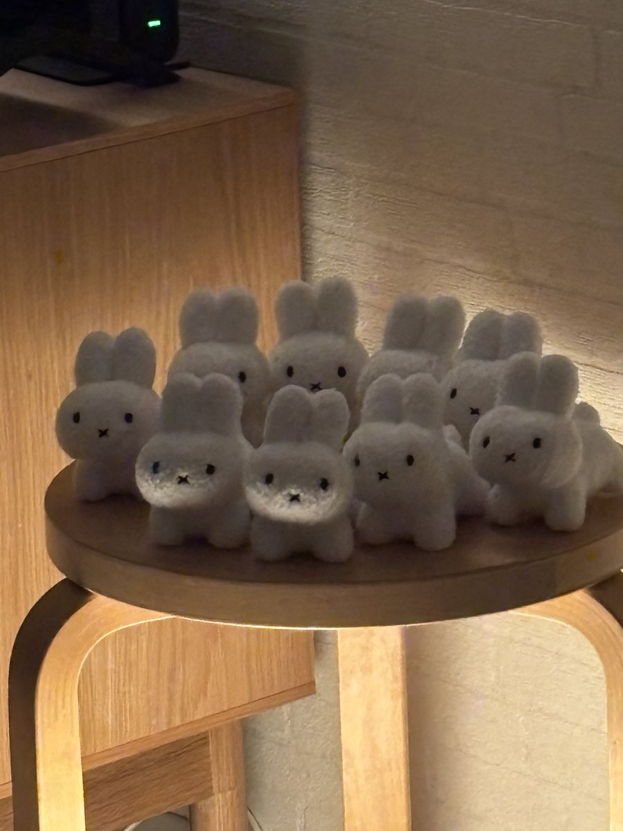 \ ﾇ /