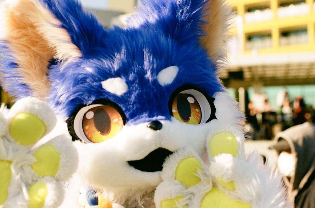 건덕불곰 🔜 퍼클(일) tweet media