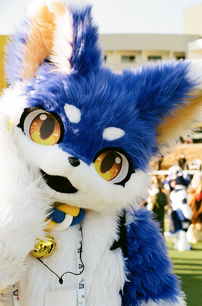 건덕불곰 🔜 퍼클(일) tweet media