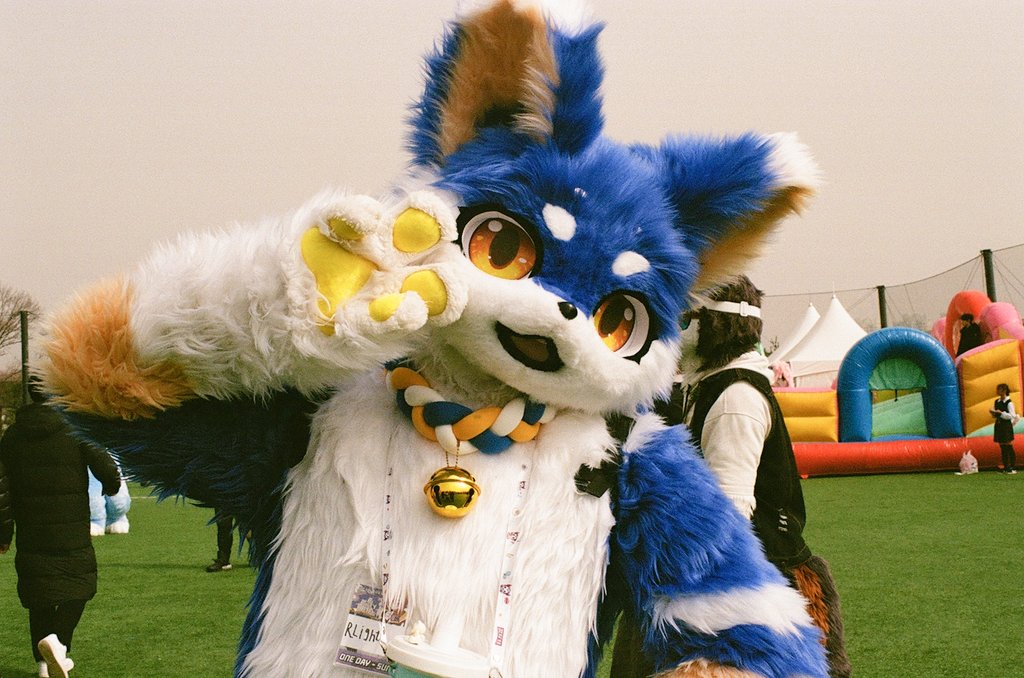 건덕불곰 🔜 퍼클(일) tweet media