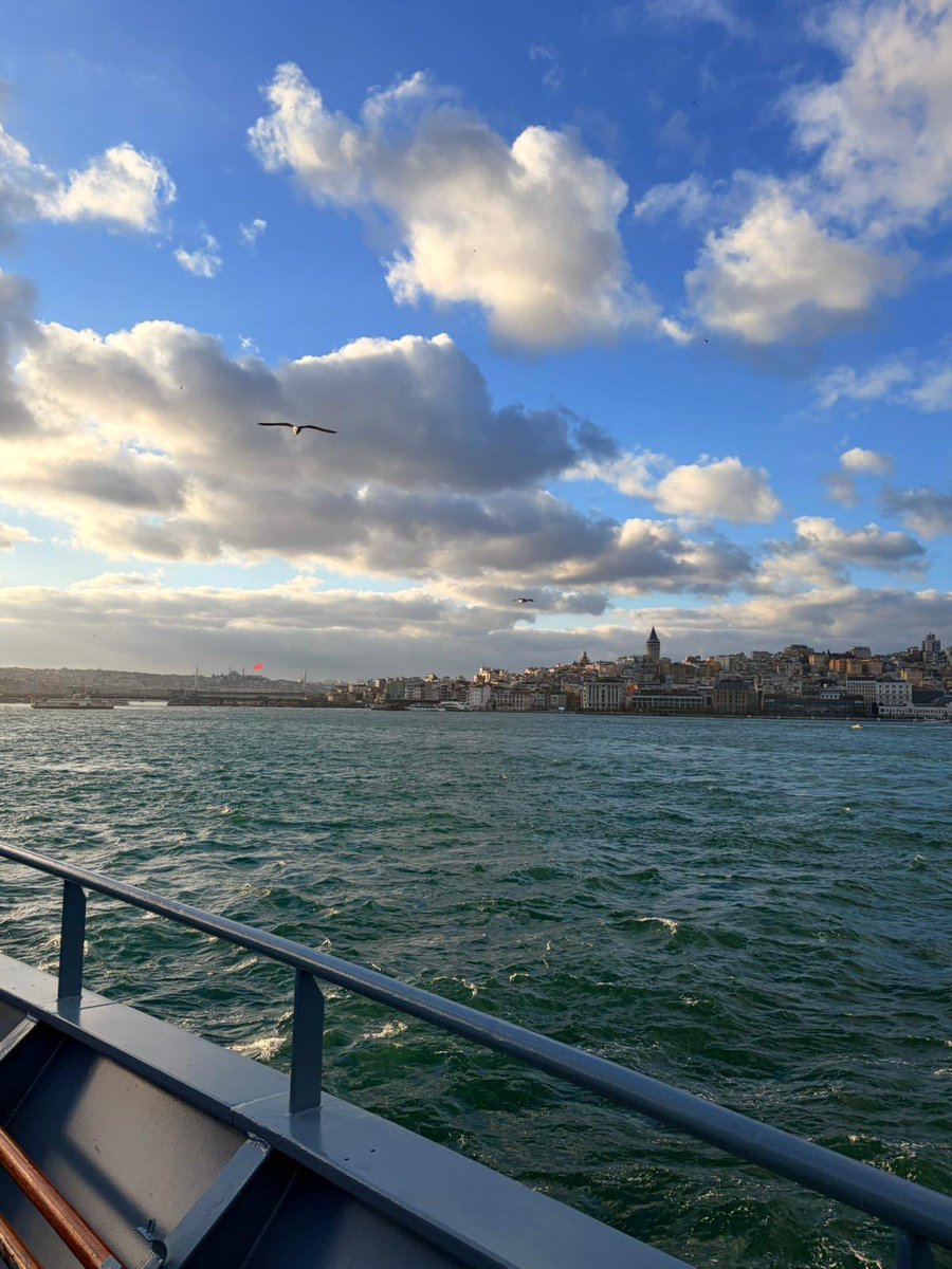 Sibylle Katharina Sorg tweet media