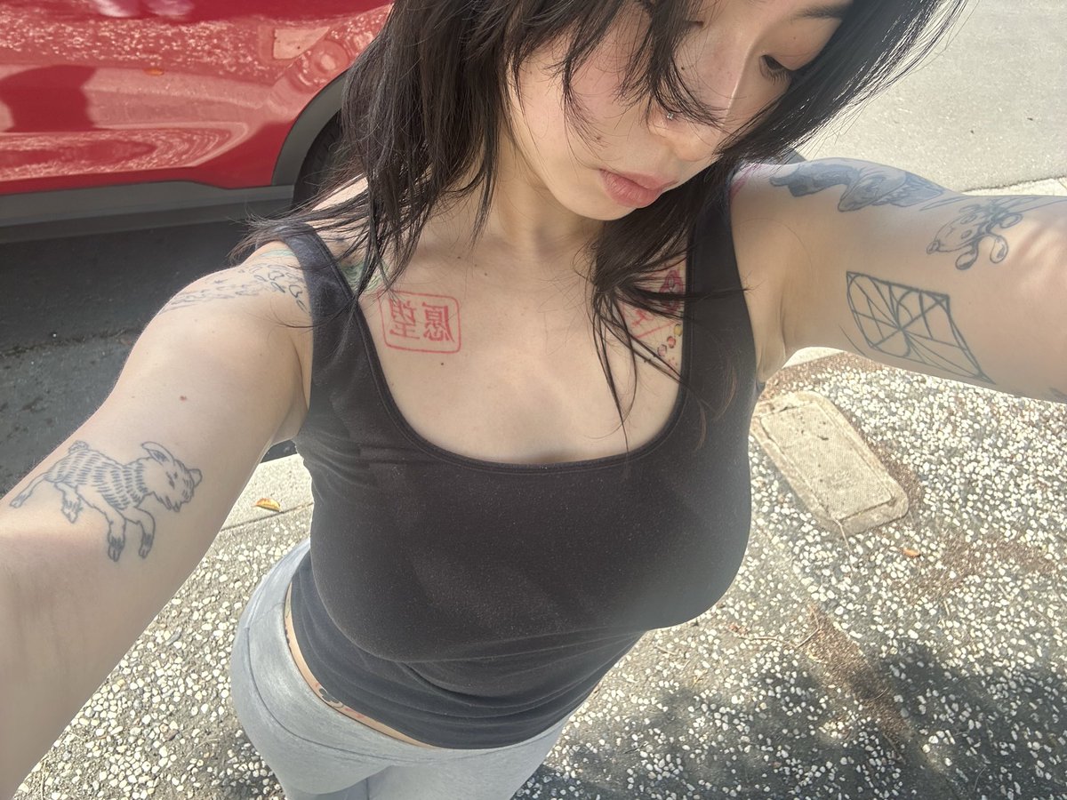 ૮ ・ﻌ・ა (@polars3ltzer) on Twitter photo 