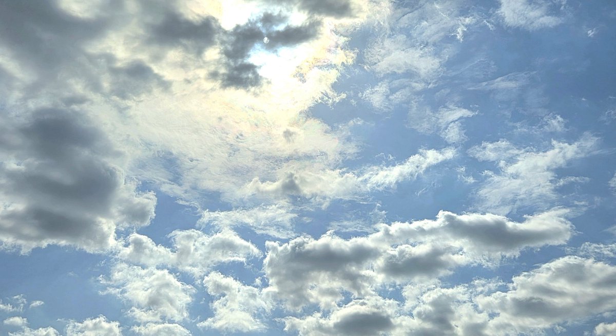 #프론_기록_사진

오늘 왤케 날씨 좋아요??? 집순이 마음도 콩닥거림
되게 밝고 푸른데 그 느낌이 안 나오네욥....