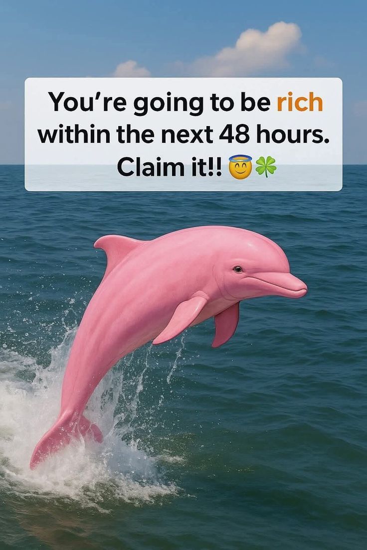 wealthsecret00's tweet photo. Don't ignore it. Share it now https://t.co/qUkNmJSMDx