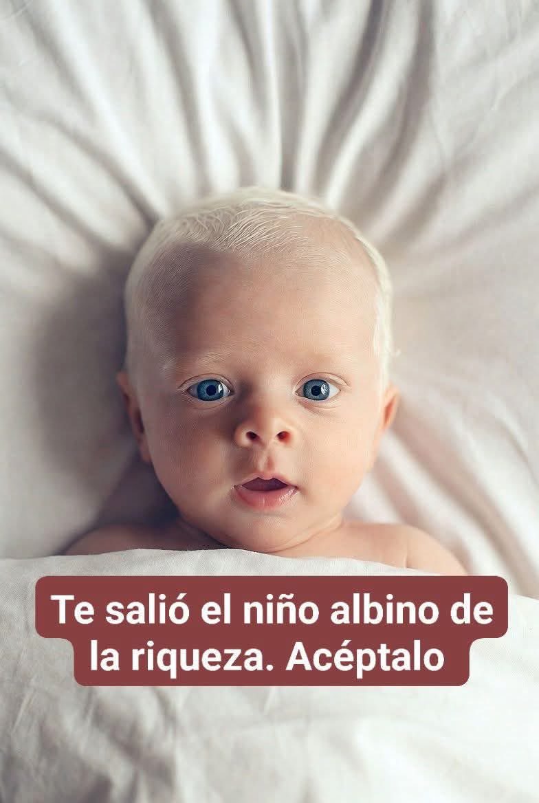 PensamientosX tweet media