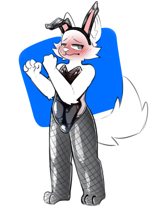 Jax Collie tweet media