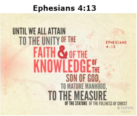 InspirationalM7's tweet photo. St. Paul changed history because Wilberforce used his knowledge of the Bible to change hearts and minds in the English Parliament in 1807 to outlaw slavery throughout the whole of the British empire. For the full study on Colossians, see https://t.co/deaAKp32sf https://t.co/DHYLtZqI3L
