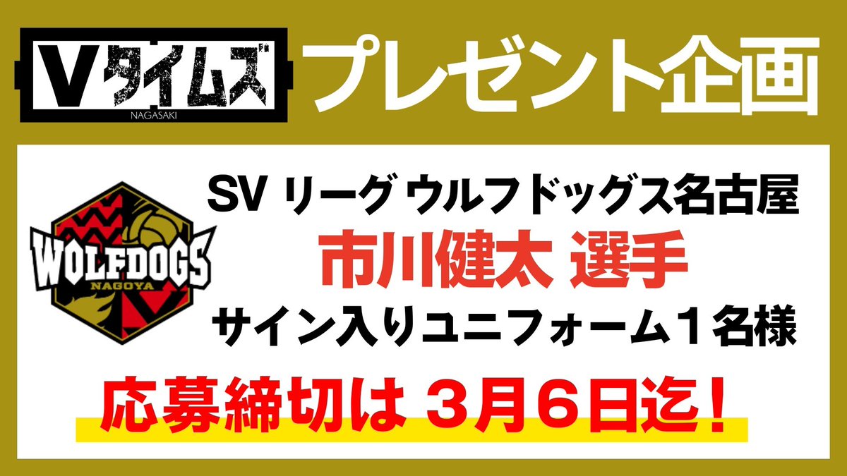 今週の #Vタイムズ に 長崎県出身、SVリーグ・ウルフドッグス名古屋の