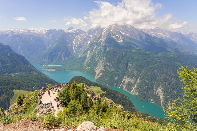 Phelim Paulie tweet media