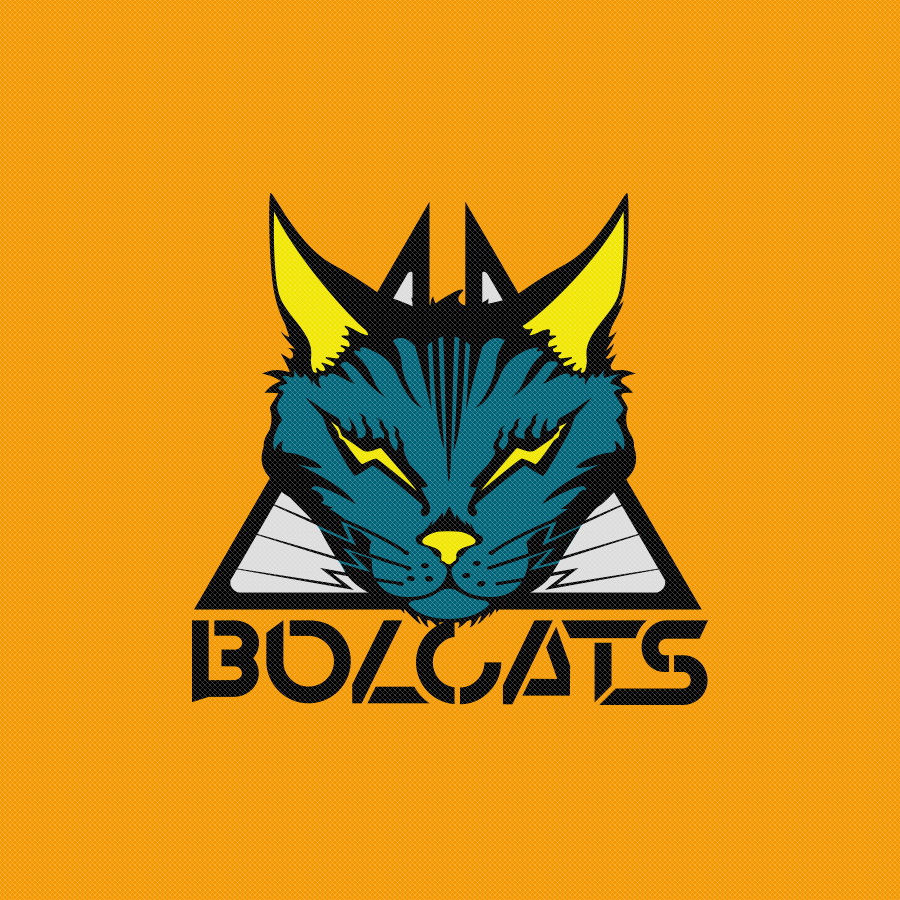 『にゃ～トギャラリー』
いよいよ明日明後日開催です！現地参加は出来ませんが、レア目なものも含んだBOLCATSアイテム達が向かってくれています⚡️本当に様々なタイプのアーティストさんが揃っていて楽しそう𓃠𓃠𓃠

ヨロシクオネガイシマス！！