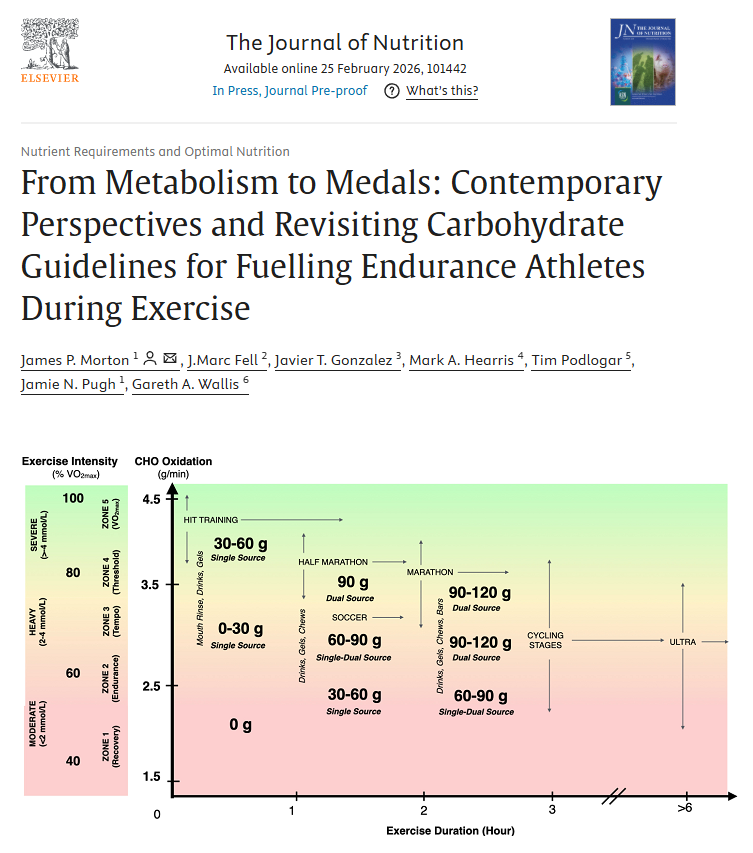 nick_krontiris's tweet photo. This article provides a contemporary review of carbohydrate metabolism during exercise, factors affecting its exogenous oxidation rates and sport-specific research, before presenting an updated and more nuanced model to guide carbohydrate personalisation strategies for endurance athletes.