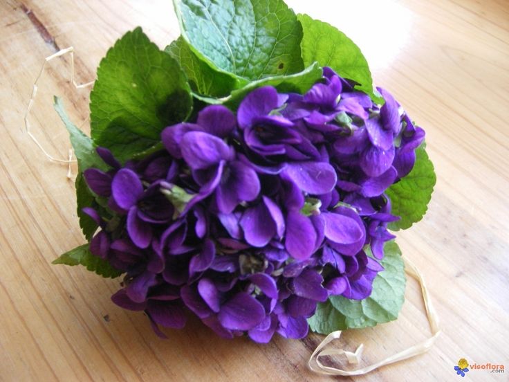 JosetteJ1's tweet image. Agréable journée de #vendredi à tous mes abonnés 😘
Le café/thé est servi .
☕☕☕🍵☕☕☕
Agreables vacances pour certains 😉
Courage à ceux qui travaillent 🙂
Ici météo 7° maxi 14° 
Pluie annoncée 🌨
#Ligue_des_optimistes