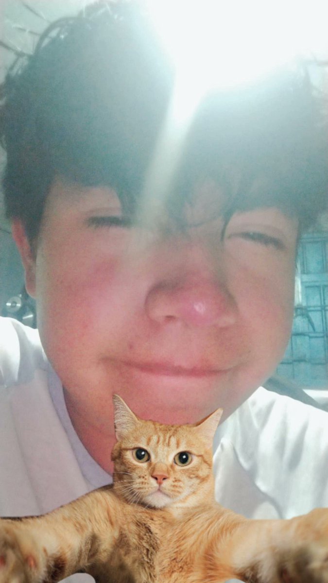 tu femboy bb tweet media