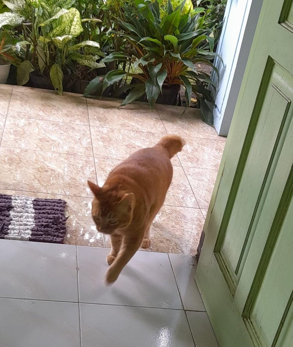 Assalamualaikum, pria tampan  sexy dan berotot pulangg