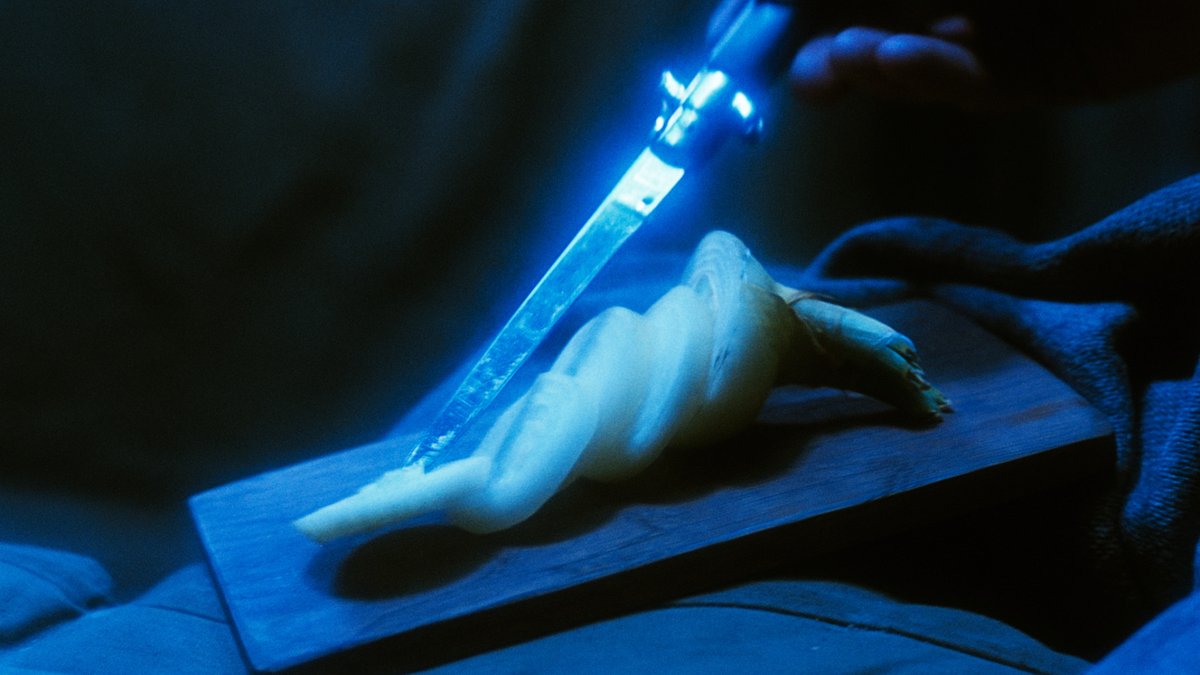 ポーランド暗黒SF≪文明の終焉4部作≫ 𝟮𝟬𝟮𝟲.𝟮.𝟮𝟭- tweet media