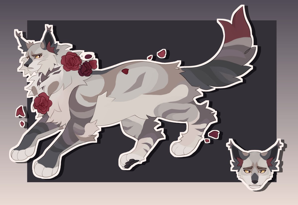 ⭐️🐾 tweet media