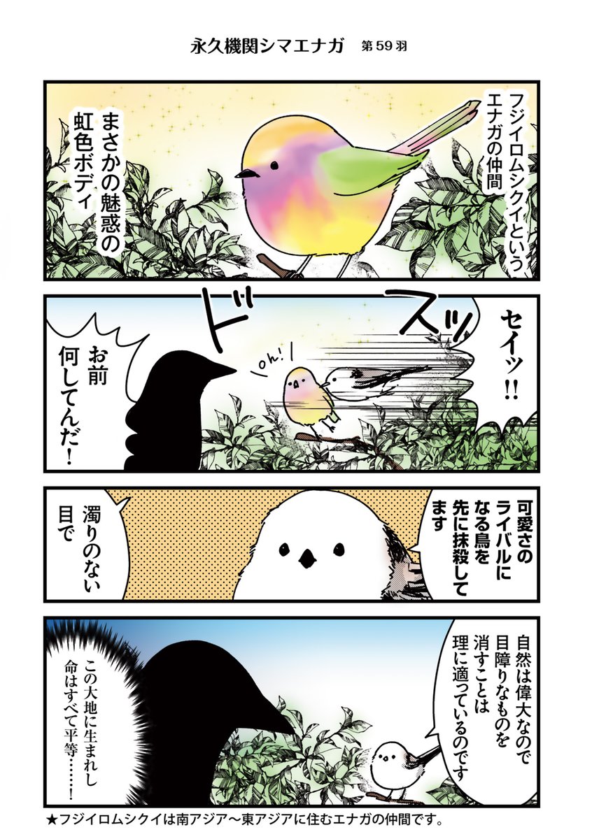 ◥◣永久機関シマエナガ◢◤
―シマエナガとカラスさんー
✨✨✨ごはいめっ！✨✨✨
好評発売中エナガ（・▴・）💖

◆シーズン１◆
リバイバル配信中‼
#永久機関シマエナガ