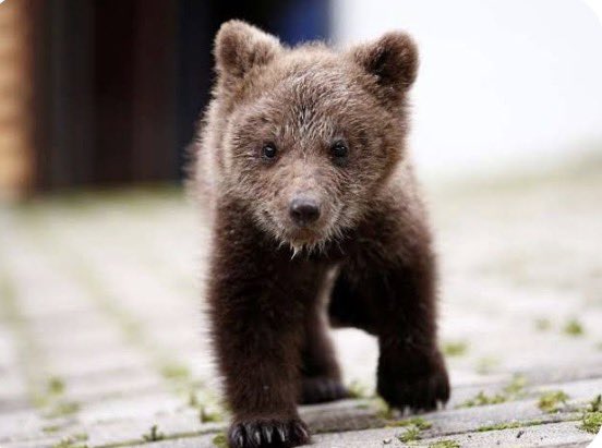 異常を
異常だと声をあげなければ
それはやがて「普通」になります。
声をあげることは対立を生むこともあります。
けれど同時に、それは「記録」を残すことでもあります。
誰かが後から振り返ったときに
「この時、異常だと言った人がいた」という事実が残る。
記録は、未来への責任です。