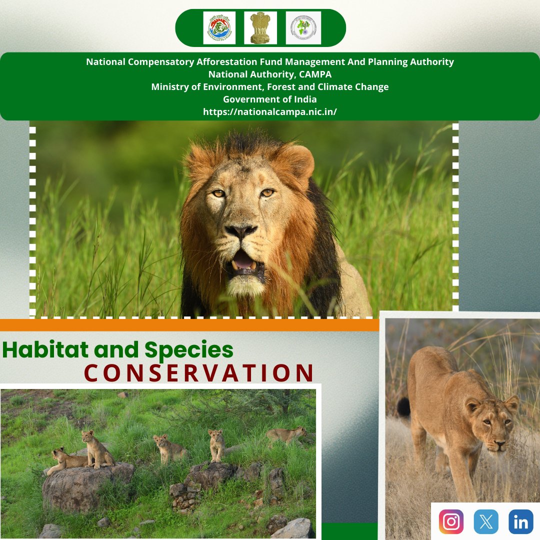 National Authority, CAMPA, MoEF&CC, GoI tweet media