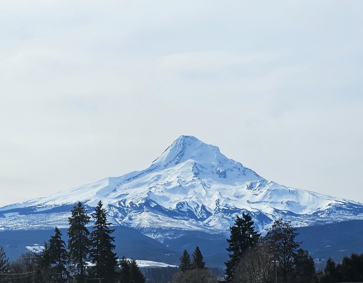 ✨ gloomsday.straw.page ✨ tweet media