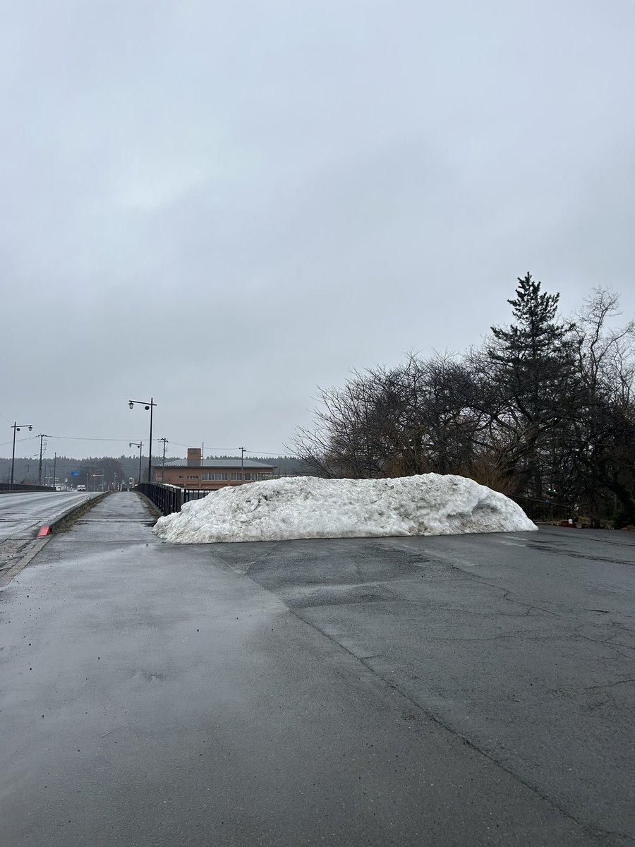 café pont chatポンシャ tweet media