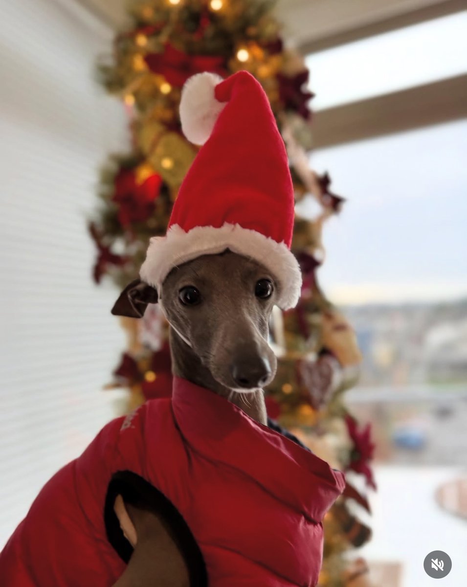 ExtraMedium3D tweet media