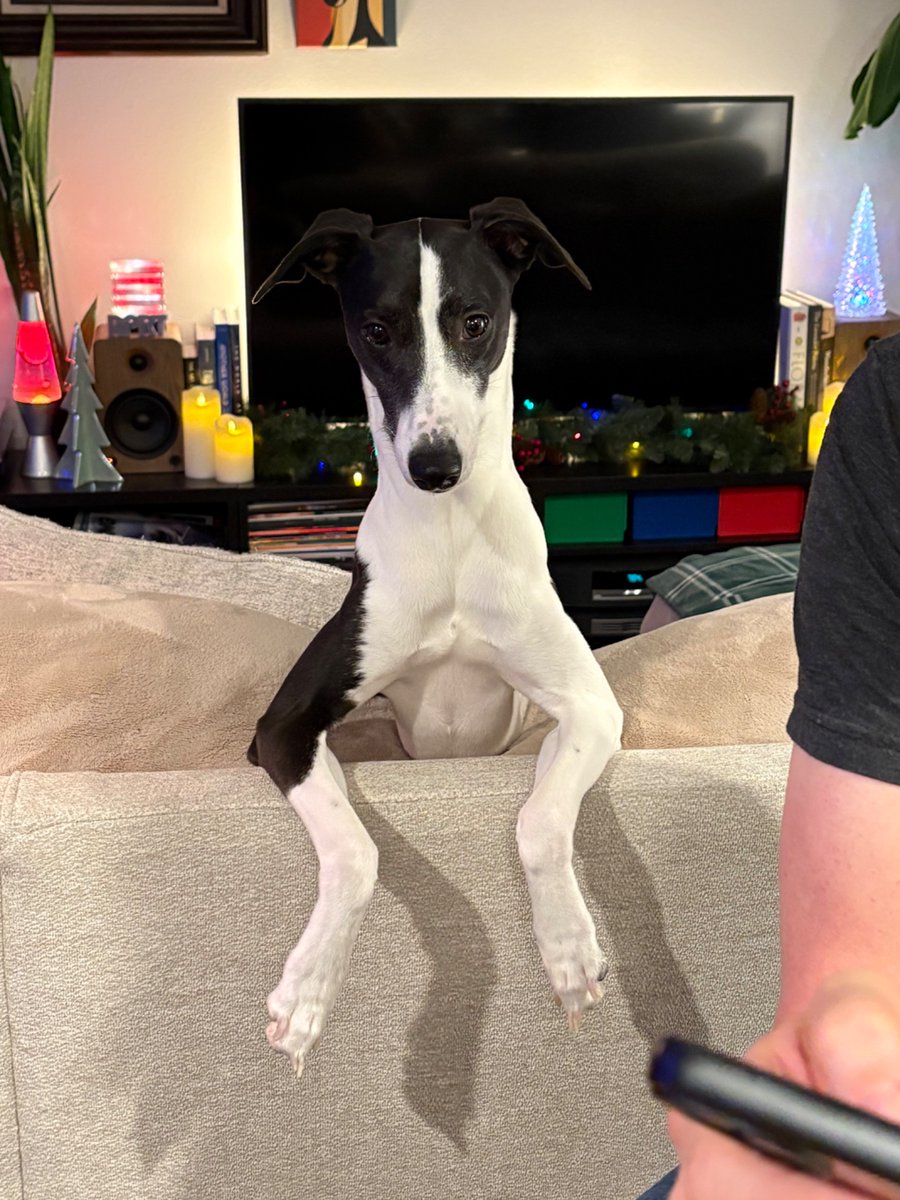 ExtraMedium3D tweet media