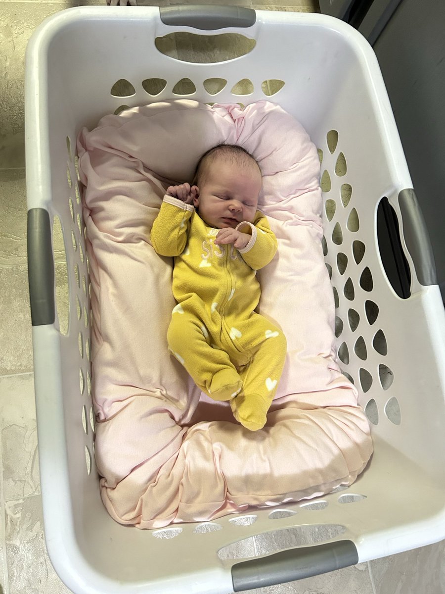 Richard Hammer tweet media