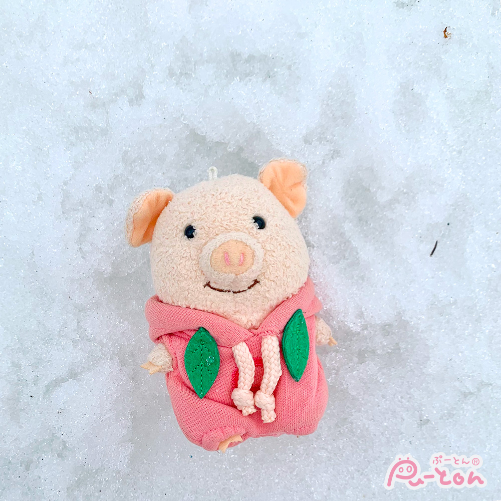 ひゃー冷たい！！🧊🐧

＃ぷーとん　#雪