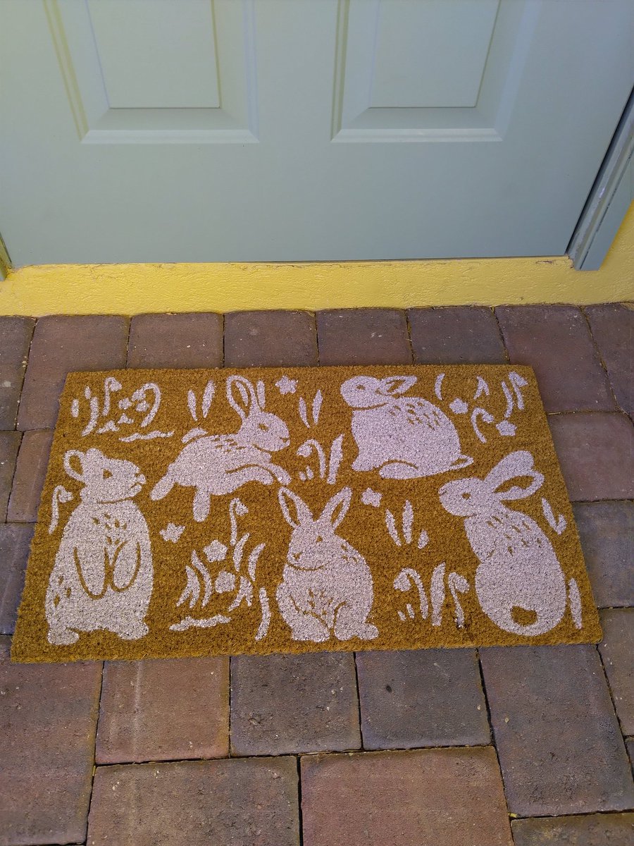 LauraLadybug4's tweet photo. I bought a new door mat. Do you love it?
#targetstyle https://t.co/x76aNCH3fo