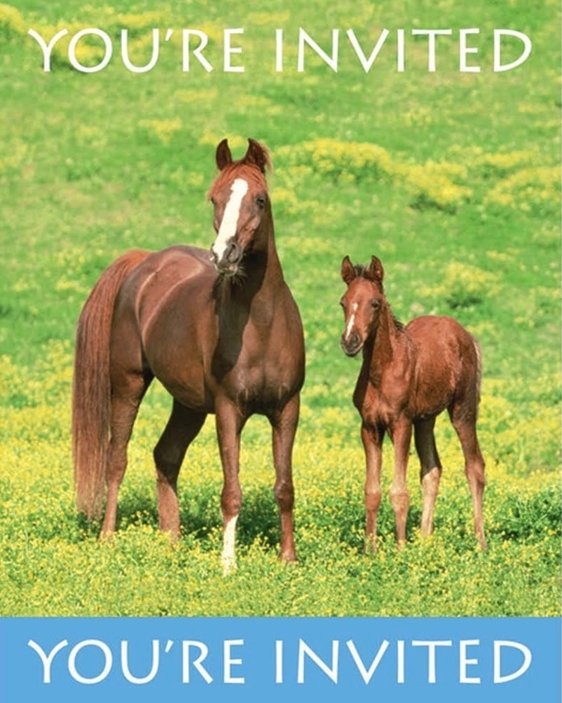 zee ✧.* tweet media