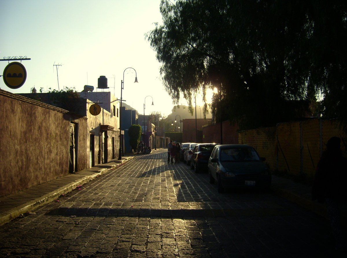 TheCarki tweet media