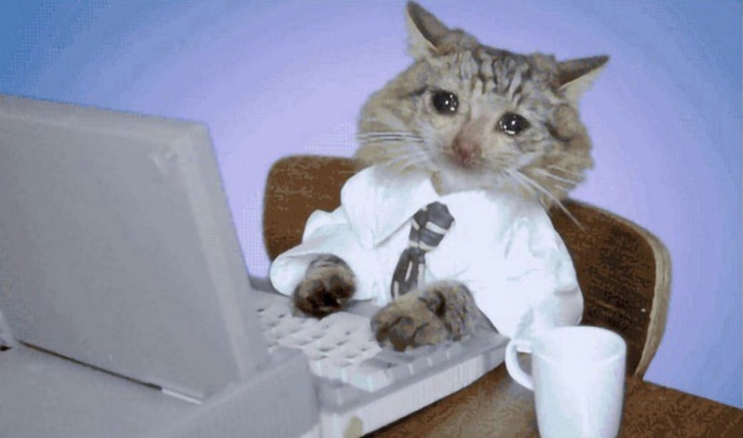 its simple 

tol got rinsed lately he is tired of larps 

done w the ai larp meta lets send $tol 

dex at 15k