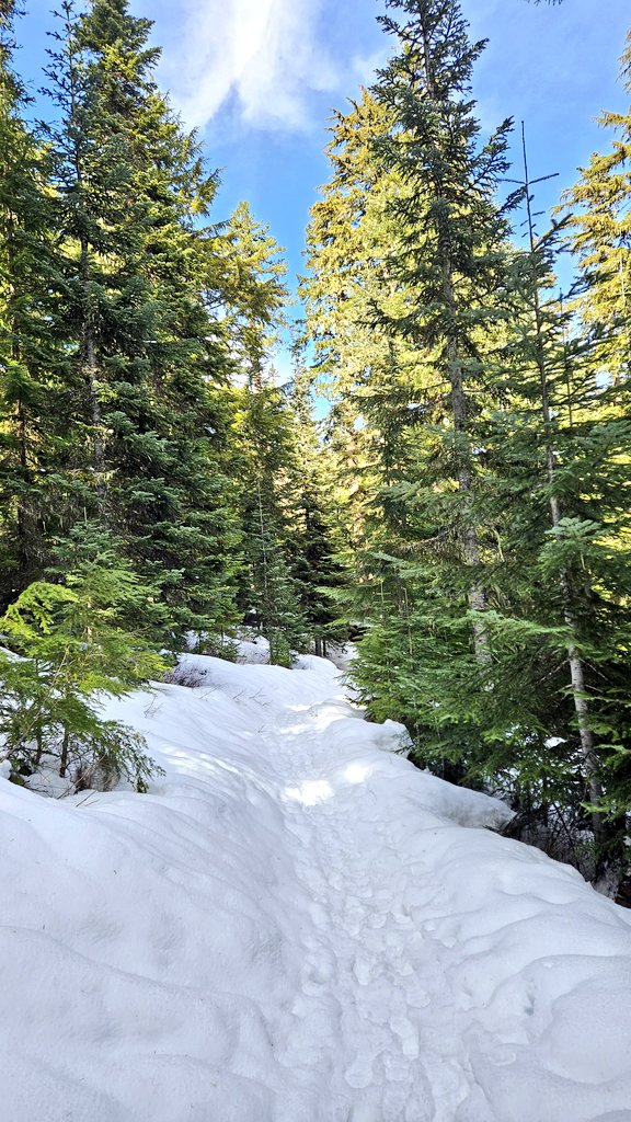 ✨ gloomsday.straw.page ✨ tweet media