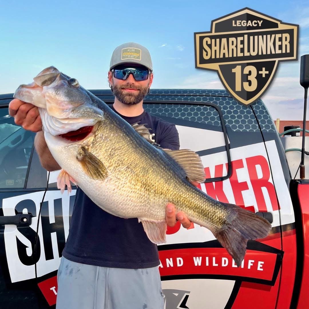 TPWD Fishing tweet media