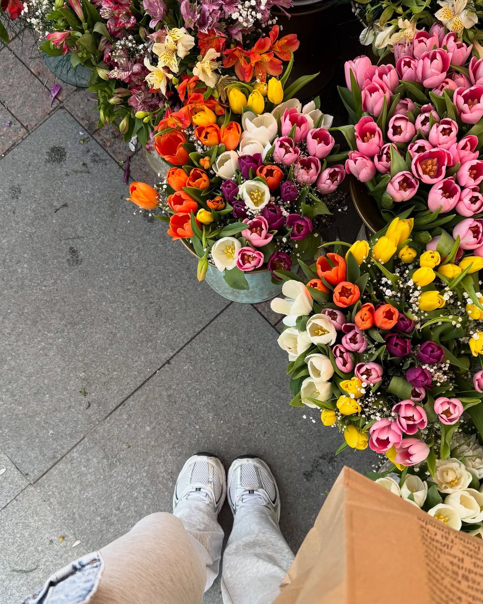 darksun759's tweet photo. Every flower has its own beauty 🌷 
#Peaceful #FlowerVibes #Bloomhour #Flowers https://t.co/9vecdkrwbX
